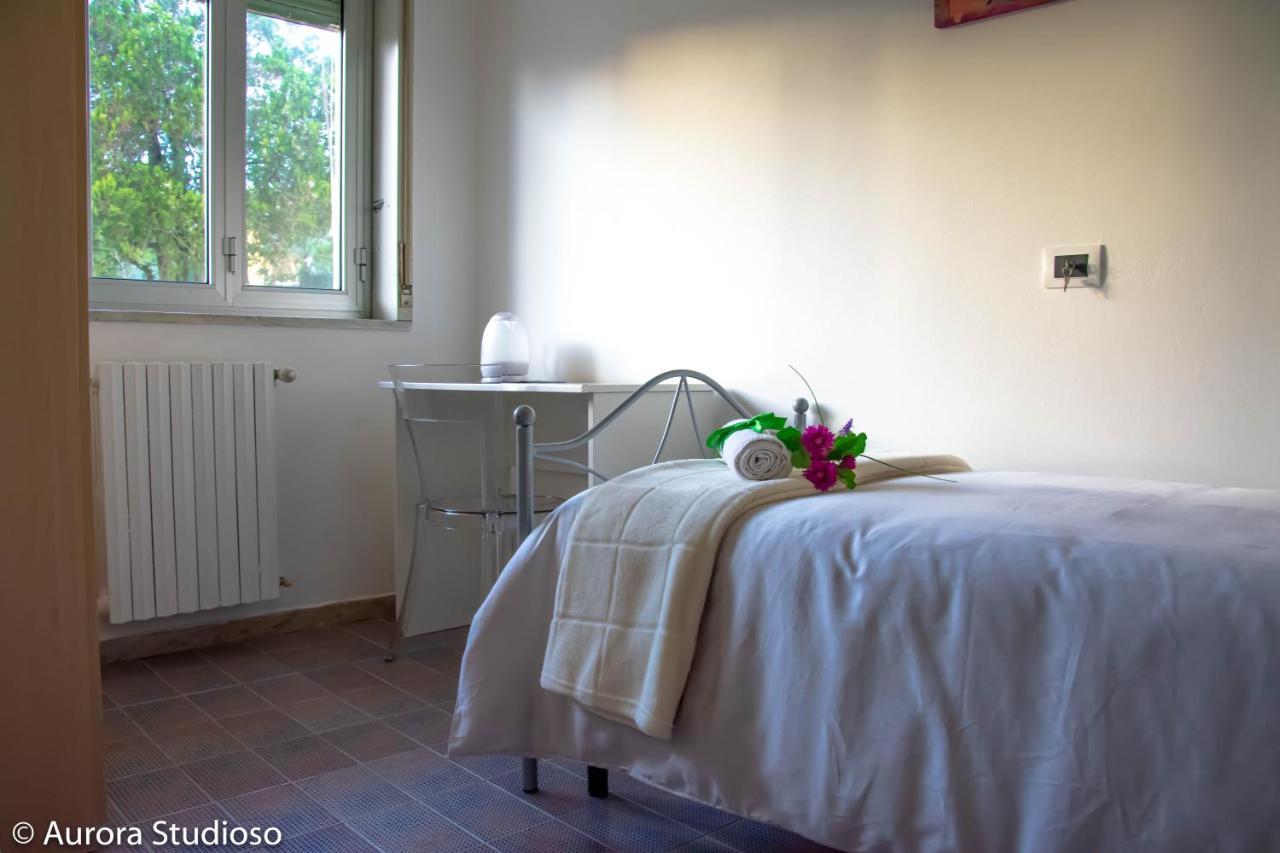 B&B L'Incanto Degli Artisti 卡尔塔吉罗 外观 照片